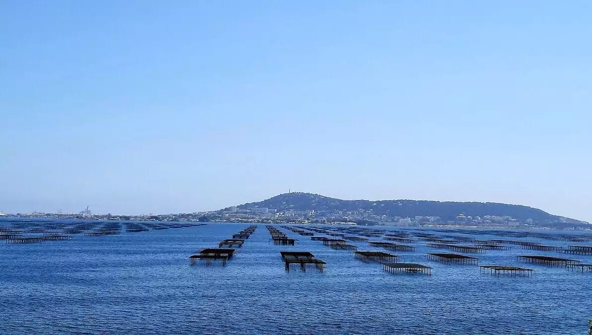 Lire la suite à propos de l’article Finalisation du projet de R&D Dem’Eau THAU